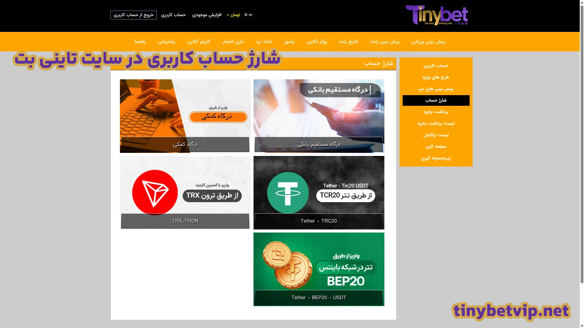 شارژ حساب کاربری در سایت تاینی بت
